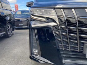 TOYOTA ALPHARD 2022 BLACK