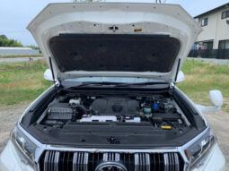 
										TOYOTA LAND CRUISER PRADO 2021 PEARL WHITE full									