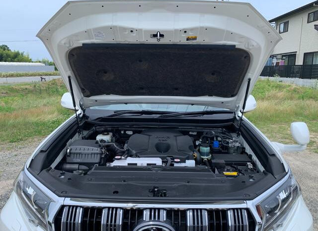 
								TOYOTA LAND CRUISER PRADO 2021 PEARL WHITE full									