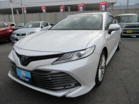 TOYOTA CAMRY 2019 PEARL WHITE