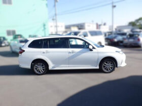 TOYOTA COROLLA FIELDER 2018 PEARL