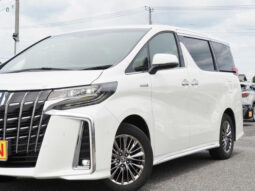 
										TOYOTA ALPHARD 2020 PEARL WHITE full									