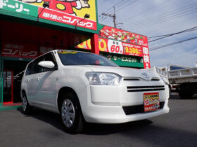 TOYOTA PROBOX 2024 WHITE