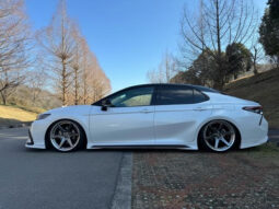 
										TOYOTA CAMRY 2021 WHITE full									