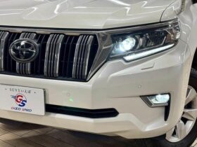 TOYOTA LAND CRUISER PRADO TX