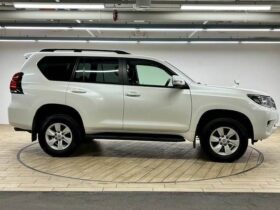TOYOTA LAND CRUISER PRADO TX