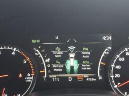 
										TOYOTA LAND CRUISER ZX full									