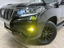 
										TOYOTA LAND CRUISER PRADO TX L full									