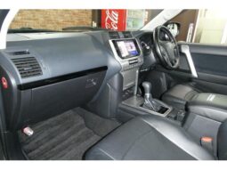 
										TOYOTA LAND CRUISER PRADO  2019 GRAY full									