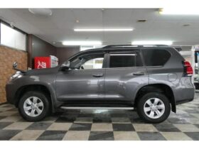 TOYOTA LAND CRUISER PRADO  2019 GRAY