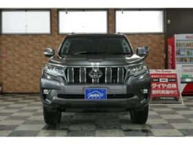 TOYOTA LAND CRUISER PRADO  2019 GRAY