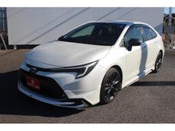 
										TOYOTA COROLLA HYBRID WxB | WHITE | 2023 full									