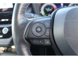 
										TOYOTA COROLLA HYBRID WxB | WHITE | 2023 full									