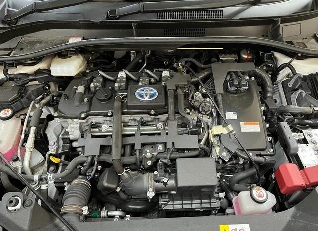 
								TOYOTA C HR 2020 PEARL Hybrid full									